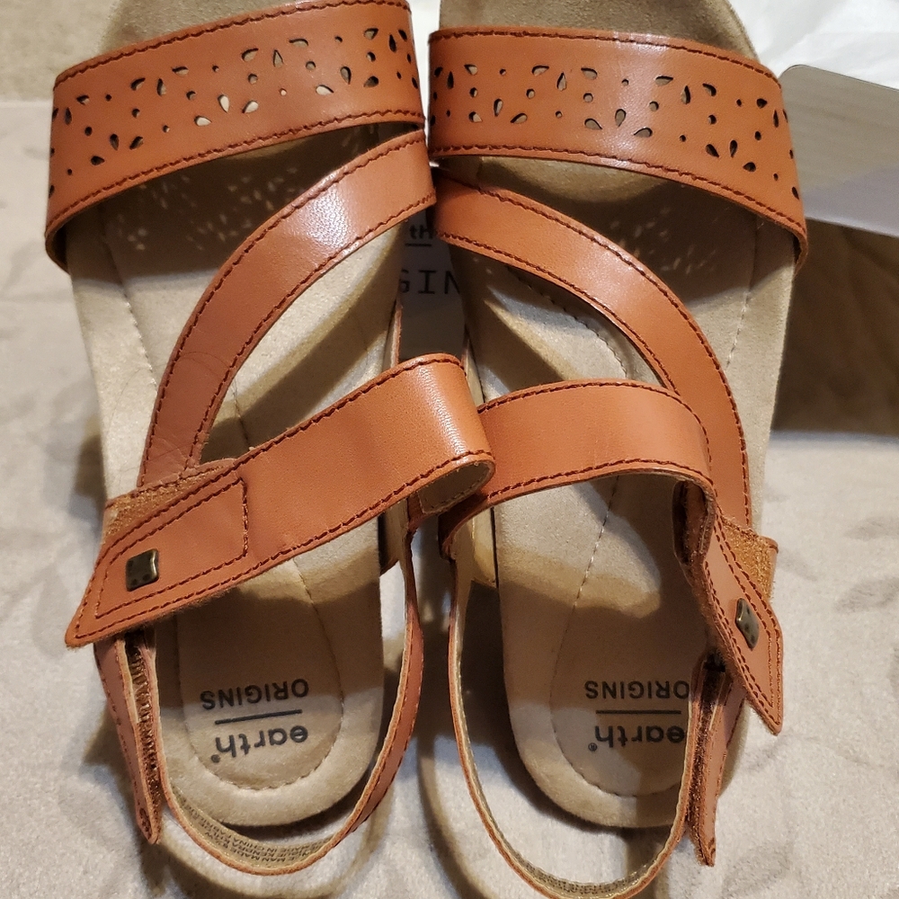 Earth Origin Ginger Spice Wedge